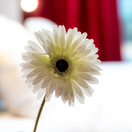 Il Panoramico Rooms Cagliari Dış mekan fotoğraf